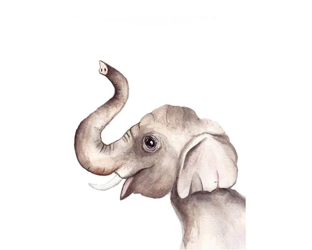 Poster Olifant